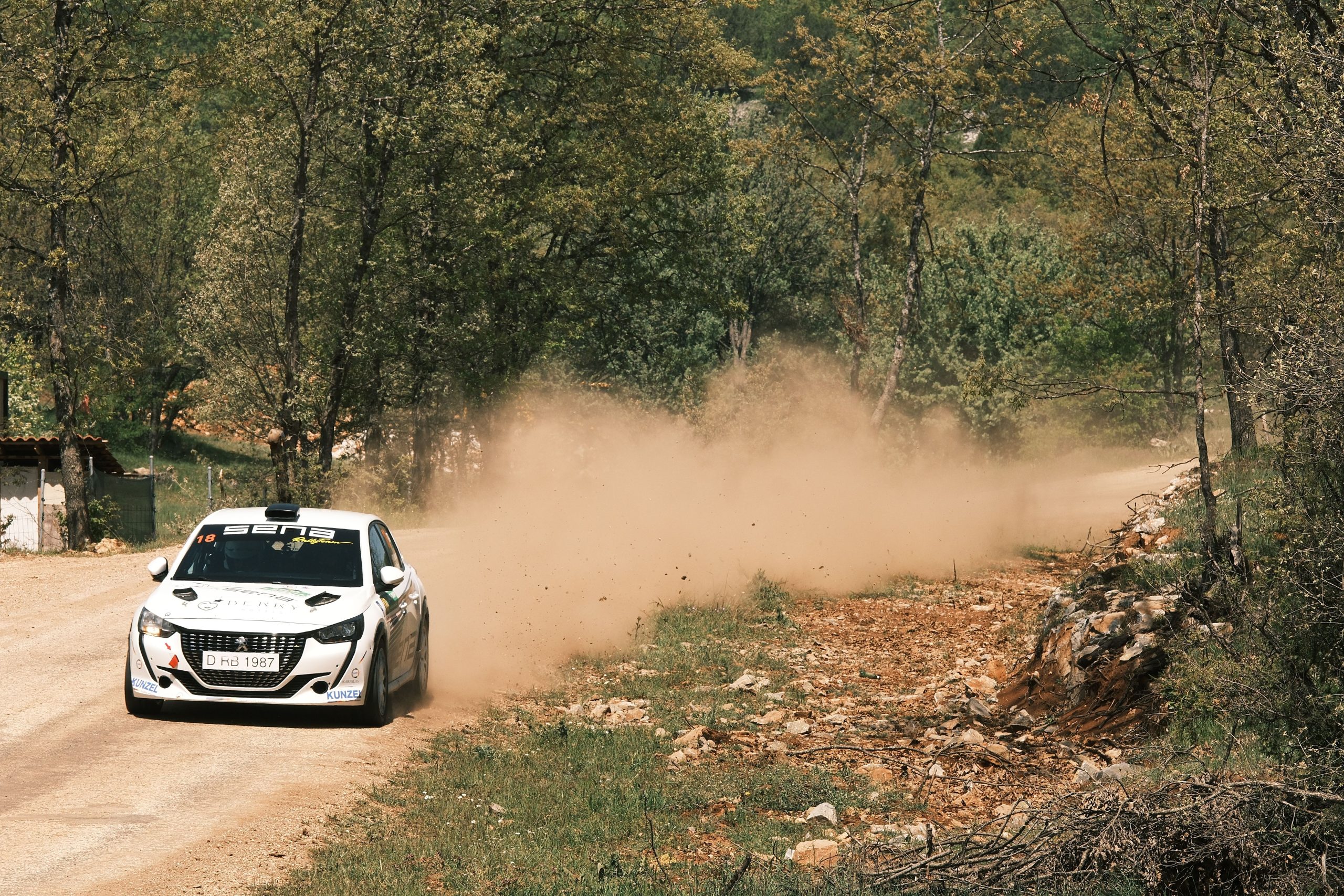 Voiture de rallye racing en terrain boisé poussiéreux