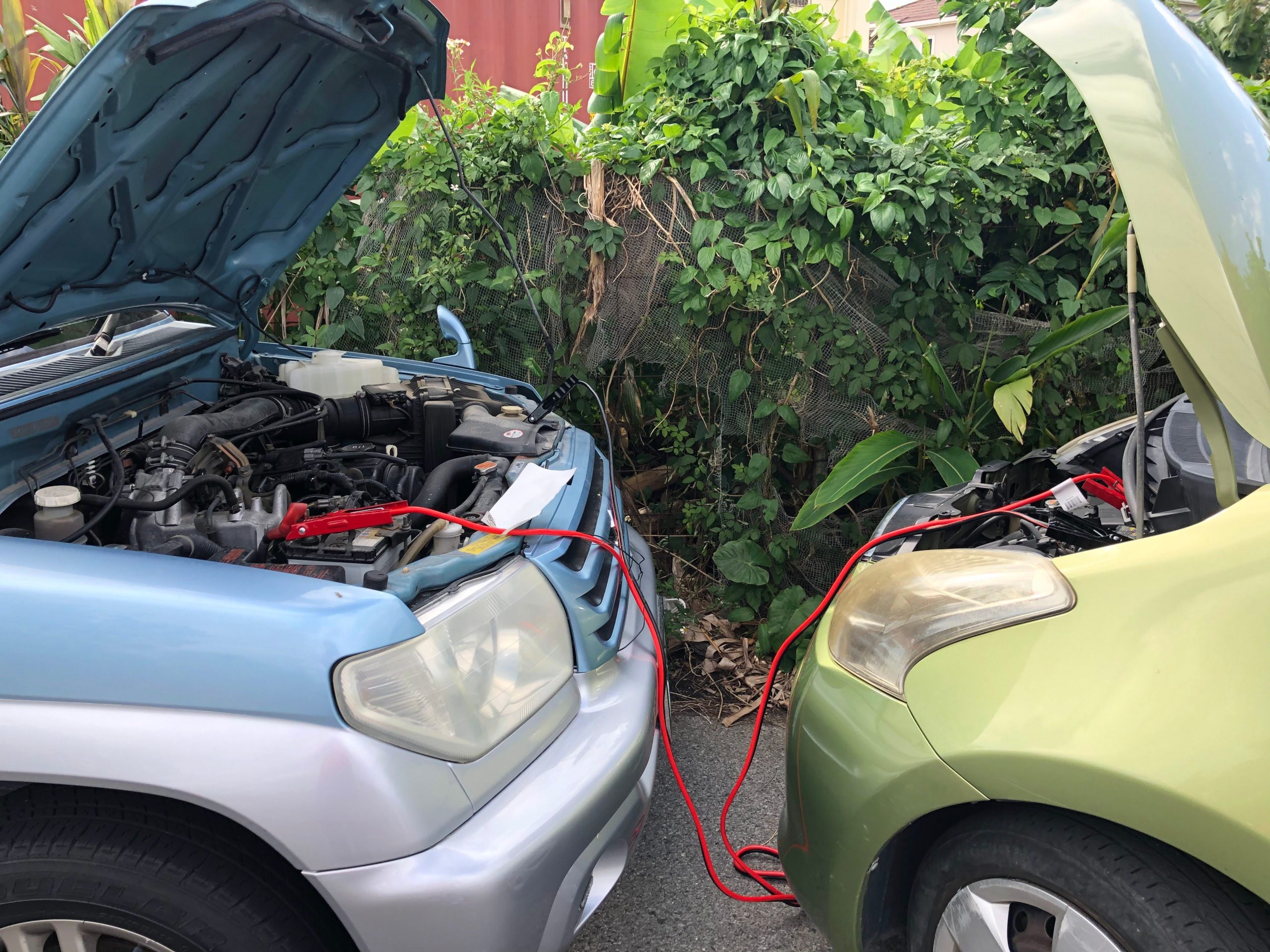 Deux voitures connectées par câbles de recharge batterie
