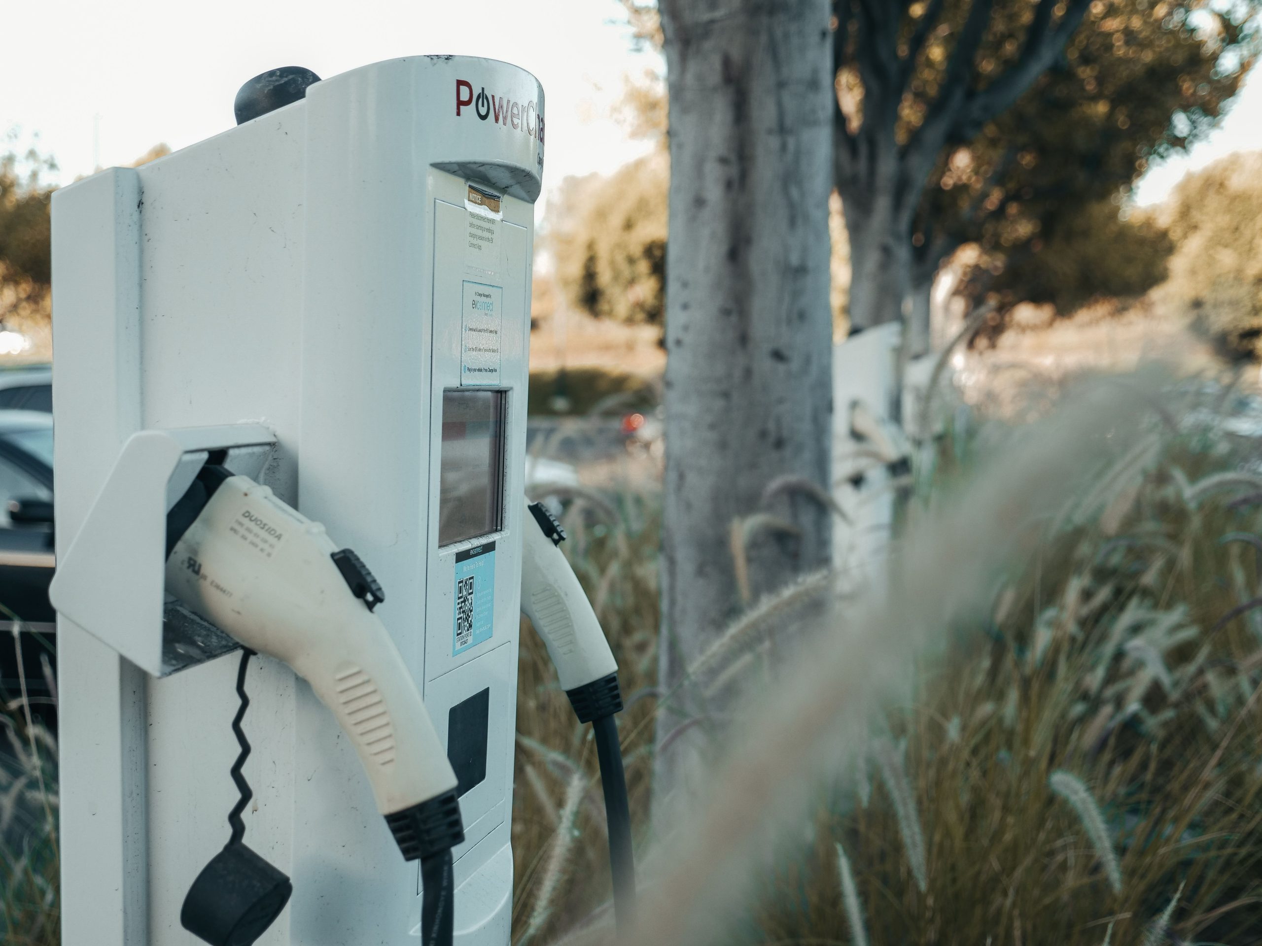 Station charge électrique environnement naturel durable